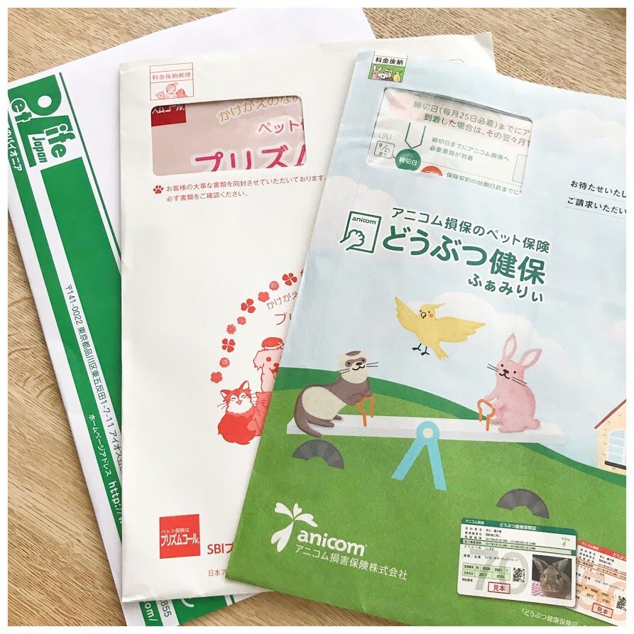 ペット保険を考え中 花暮し Hanagurashi ペット保険を考え中 花暮し Hanagurashi
