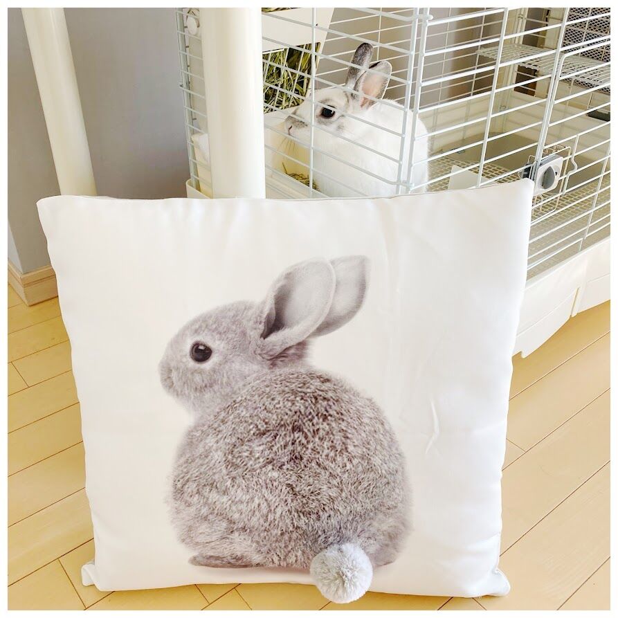 CORAL&TUSK [Tree Trimmers Wreath Pillow] ツリーを囲む動物