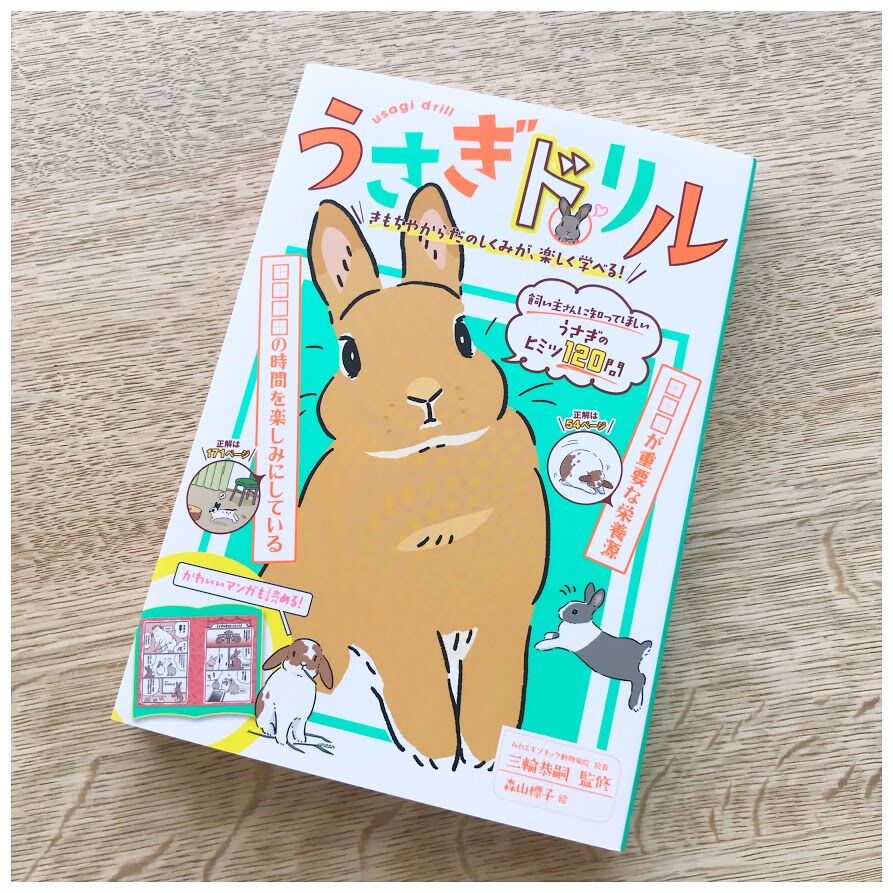 うさぎドリルで 勉強中 花暮し Hanagurashi