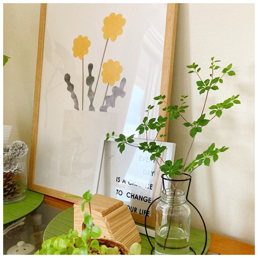 今年もカインズ これ一本で部屋が爽やかに 花暮し Hanagurashi