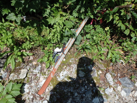 P8150107