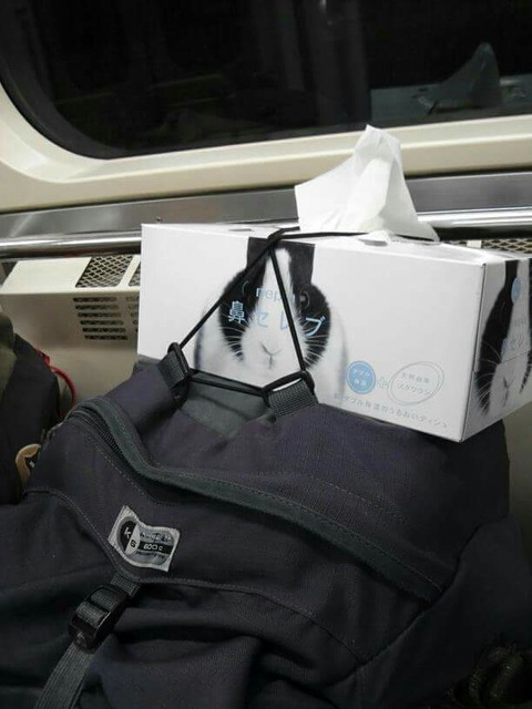 FB_IMG_1520550708650