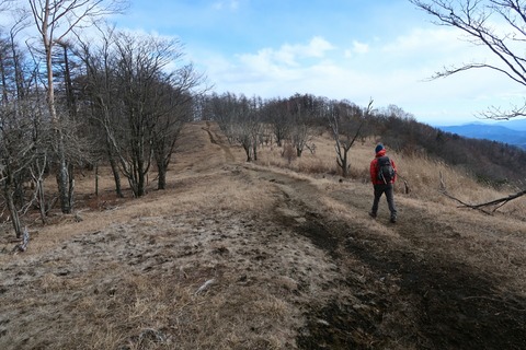 20181229130333_IMG_1299