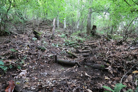 20180924090413_IMG_0572