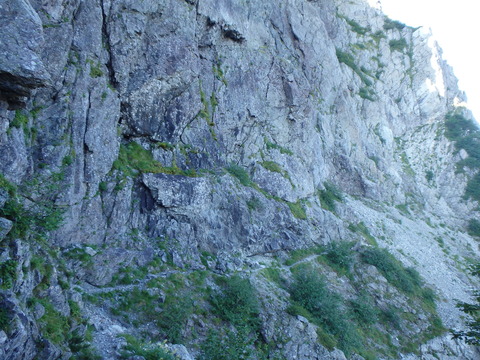 P8130921