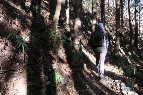 20181229093133_IMG_1275