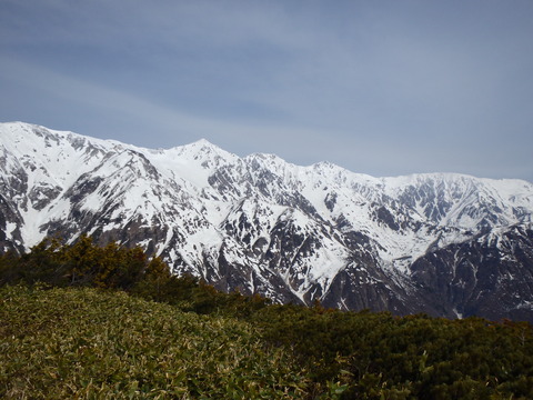 P5020233