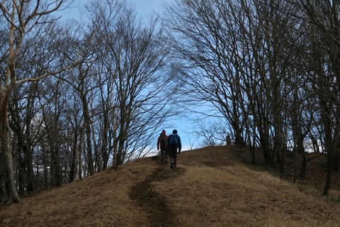 20181229131116_IMG_1307