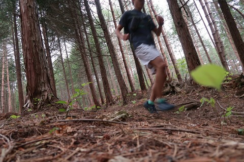 20190623070827_IMG_0713