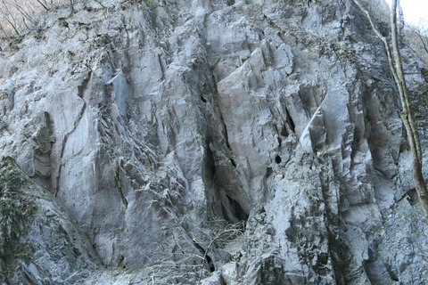 20181229094845_IMG_1278