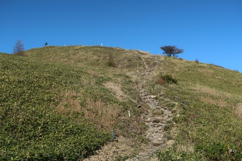 20191028090950_IMG_1882