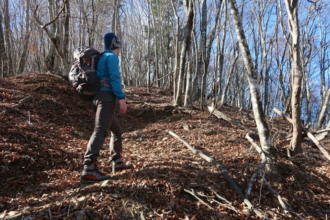 20181229110244_IMG_1281