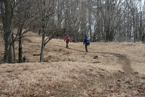 20181229131054_IMG_1306