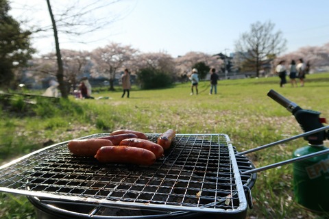 20180331152212_IMG_4976