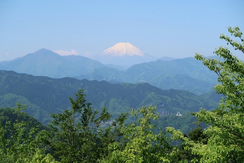 20180428093901_IMG_5063_1