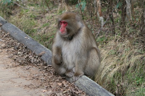 20161106115803_IMG_0970