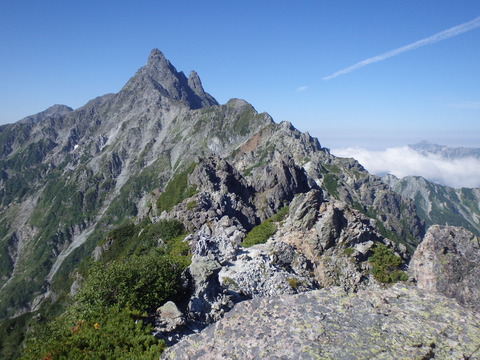 P8130946