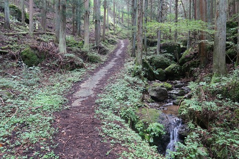 20180924083338_IMG_0564