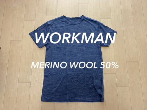 ワークマン メリノウール50 半袖tシャツがめっちゃいい 絶対にマネをしてはいけない山歩き