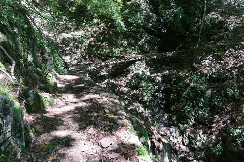 20190907103734_IMG_1382