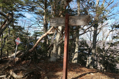 20181229114221_IMG_1282