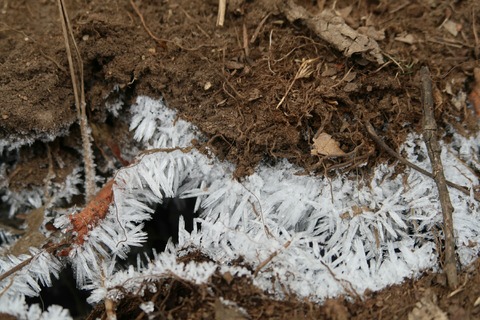 20181229131044_IMG_1305