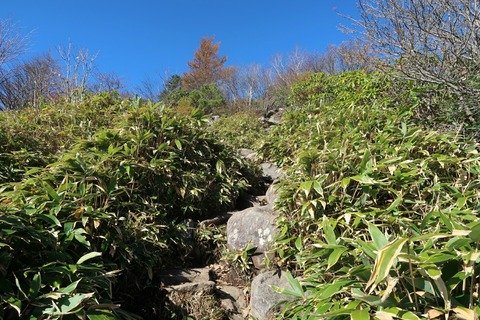 20191028090313_IMG_1880