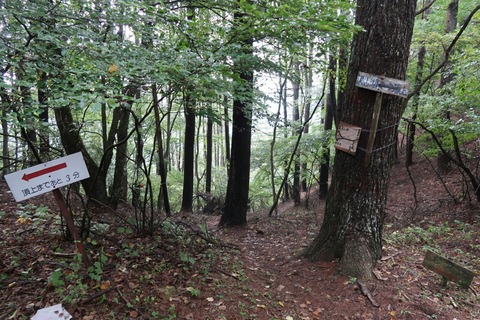 20180924093449_IMG_0579