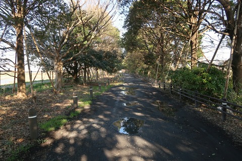 20190309081725_IMG_1843