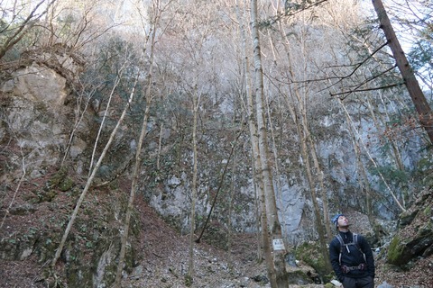 20181229094612_IMG_1276