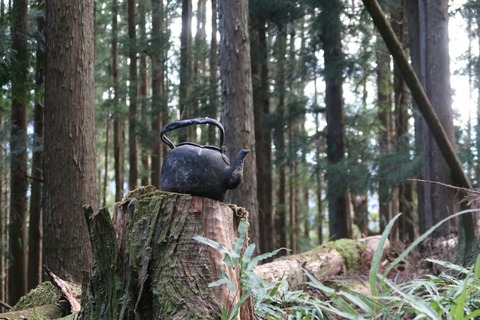 20181229145217_IMG_1315