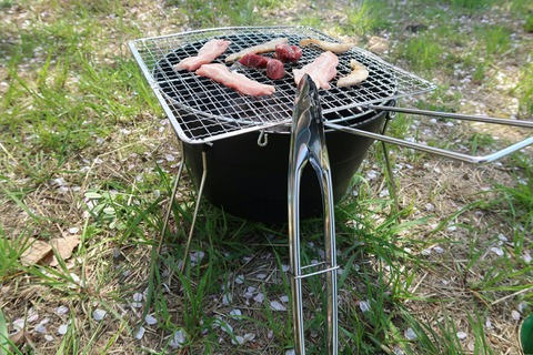 20180331132524_IMG_4973