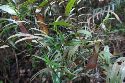 DSC02360