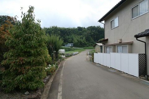 20180924081342_IMG_0556