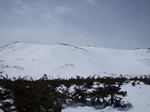 P4300171
