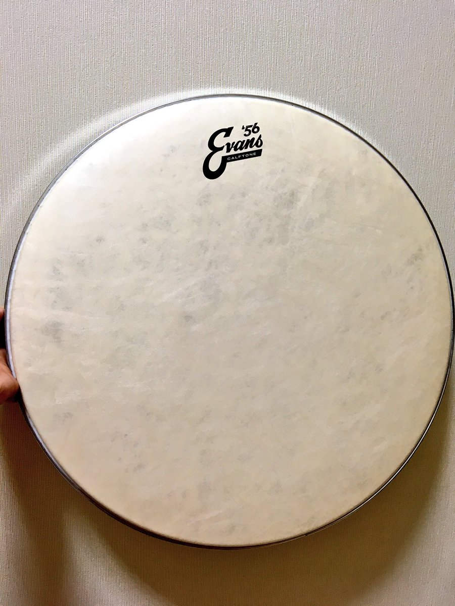 Amazon Evans エヴァンス バスドラムヘッド Eq4 クリア Bd18gb4 Eq4 Bass Batter Heads 10mil 10mil Ring 18インチ 国内正規品 楽器 音響機器 楽器 音響機器