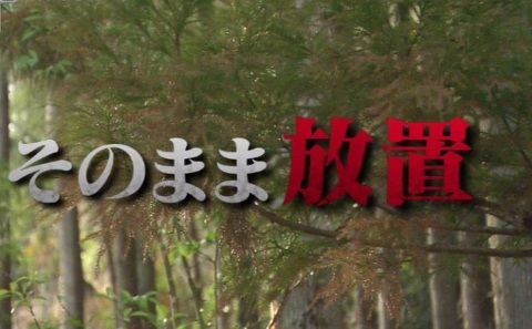 arashiya_0411_kafun_003_06