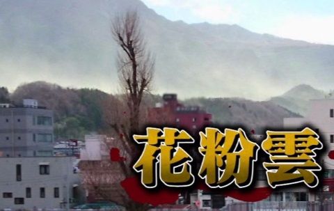 arashiya_0411_kafun_003_04