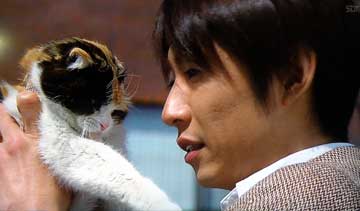嵐 あらし Arashi 三毛猫ホームズの推理 嵐 あらし Arashi 三毛猫ホームズの推理