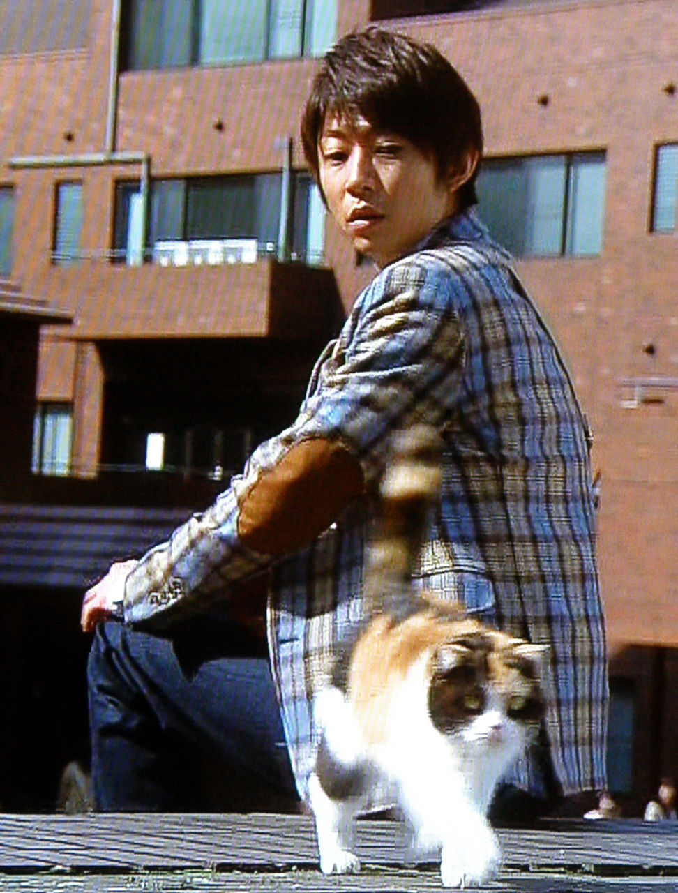 相葉雅紀 嵐 が 三毛猫 と出会う感動のシーン 三毛猫ホームズ推理 面白い 嵐 あらし Arashi 相葉雅紀 嵐 が 三毛猫 と出会う感動のシーン 三毛猫ホームズ推理 面白い 嵐 あらし Arashi