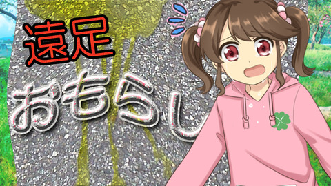 24723oshi1