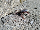 IMG_20200731_092502566_HDR