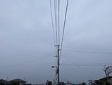 PXL_20230517_235601004