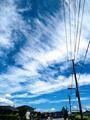 IMG_20200813_130746524