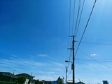 PXL_20220920_024156683