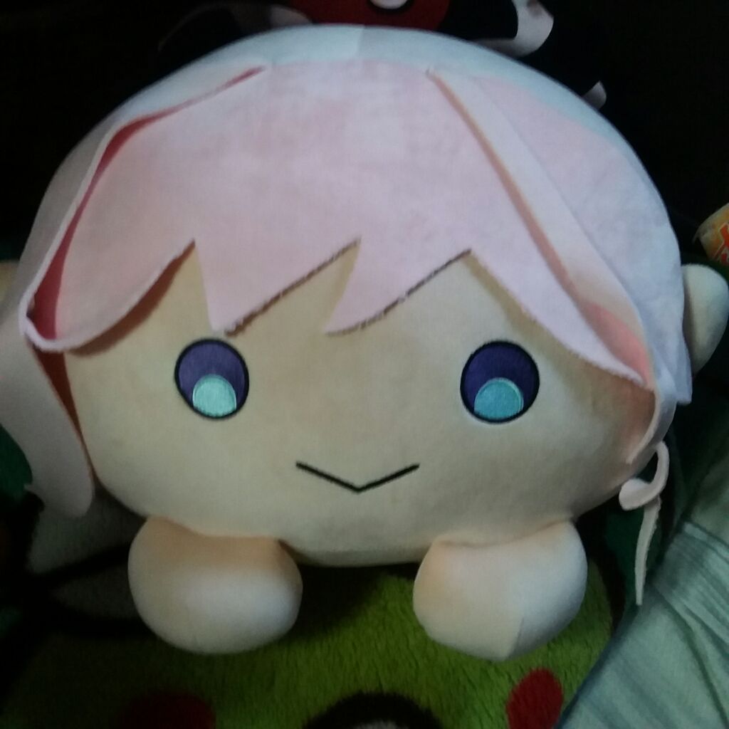 俺の抱き枕事情 Fgo 武蔵ちゃんクッション