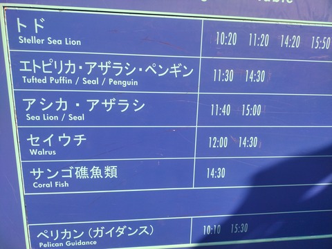 初のSSタイム (62)