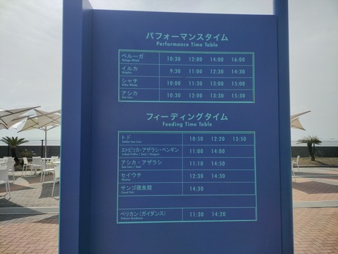 ちょい鴨シー (17)