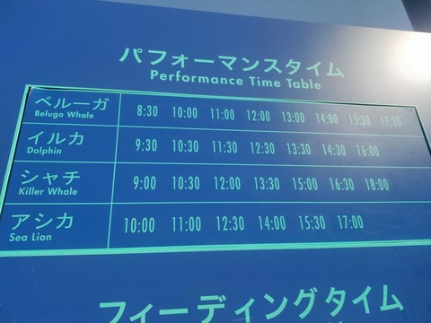 初のSSタイム (63)
