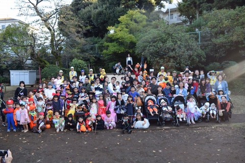 image1 (3) (800x533)